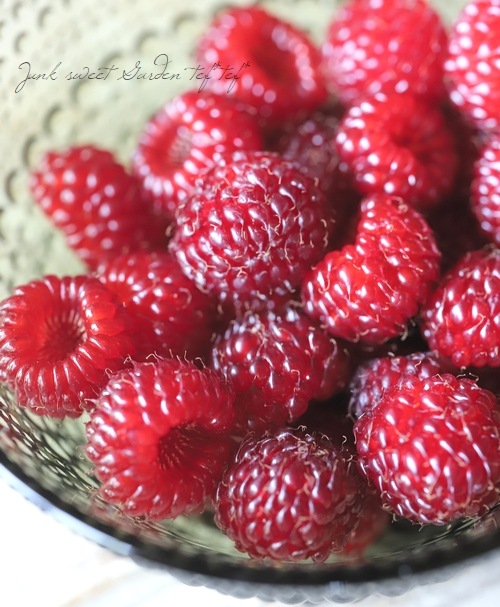 ڲڱࡦ̼ Ķ粦ȥ饺٥꡼ إåɥɥ꡼١Ω