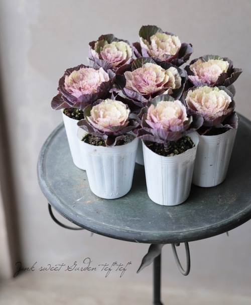 �����֥餵�󥪥ꥸ�ʥ��ղ�ð����ɴ�á١�