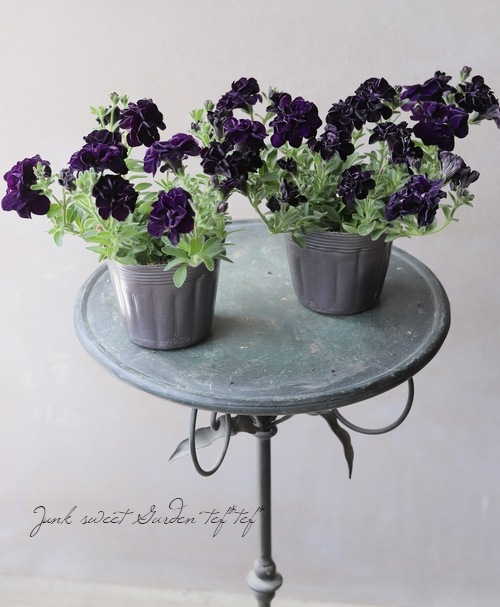 迷宮に咲く花 蒔菜　SP3枚 迷宮に咲く花 蒔菜 SP3枚 2025年最新】迷宮に咲く花 蒔