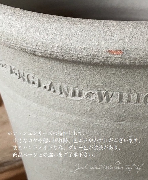 �ڻ��ߡ� �ѹ񥦥��å��ե����� ��Cockle Shell -���å��륷����-�� ���å��奰�쥤 ��38