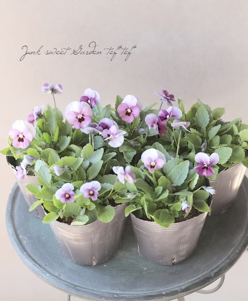 ���ߤ�ȥӥ��顡�إ����꡼���� 2022ǯ���ʼ