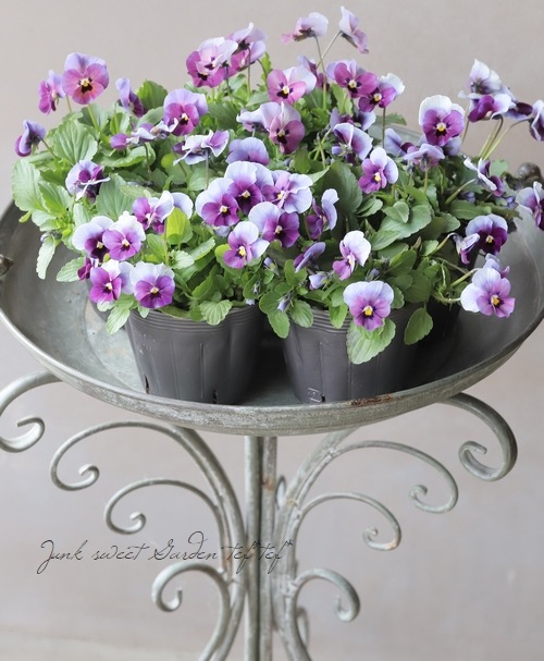 ���ߤ�ȥӥ��顡�إ����꡼���� 2022ǯ���ʼ