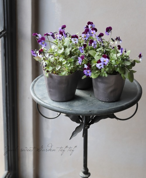 �ߤ�ȥӥ���ؾ�����ץ��١ڥХ����顼�� �������Ƥ��뤿��20%off