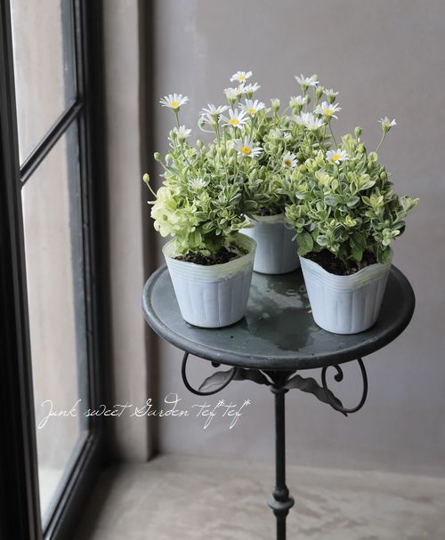 ��֥֥롼�ǡ��������إڥ�������