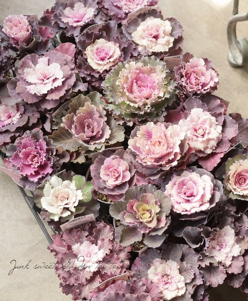 ���ղ�ð���إ���ƥ������٥���� �������Ť���ʥ�ƥ��֥ե���