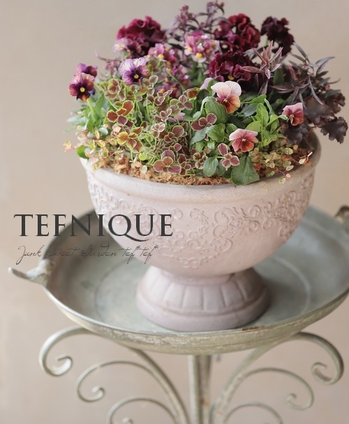 �ڴ󤻿�����-TEFNIQUE-�󤻿��� 2025 * no.5 *������Ͳİ����饰���奢�꡼���ꥹ�ޥ�����
