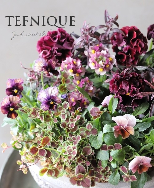�ڴ󤻿�����-TEFNIQUE-�󤻿��� 2025 * no.5 *������Ͳİ����饰���奢�꡼���ꥹ�ޥ�����