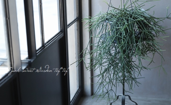 �ڴ��տ�ʪ�ۥ�ץ��ꥹ �إͥ٥�������ǥ���