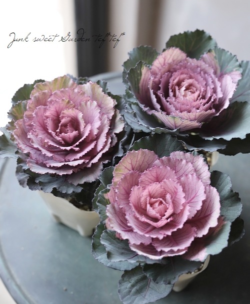 ������ƥ������ղ�ð���إե쥹�������ޥͥե��� 1��Ω��