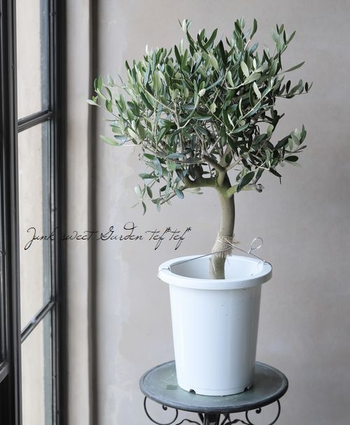 ꡼֡إå١ɤɳߺϲsouju ȥԥ꡼Ω No.5