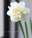 �������󡡡إۥ磻�ȥ饤����١�