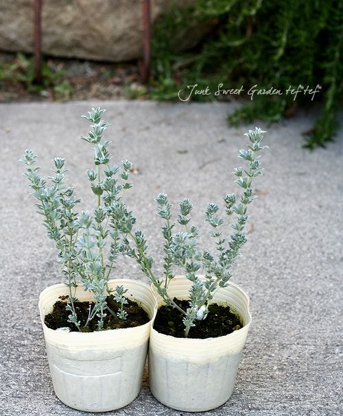 �إ�������������ƥ������١�