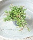 ���롼�ʡ��֥륬�ꥹ���إ��꡼�����֡� ��No.K��