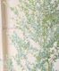 ���ե桼���ꡡ�إࡼ��饰����� ������ޤ�ݻ�Ω��