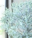 ���ե桼���ꡡ�إࡼ��饰����� ������ޤ�ݻ�Ω��