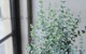 ���ե桼���ꡡ�إࡼ��饰����� ������ޤ�ݻ�Ω��