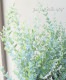 ���ե桼���ꡡ�إࡼ��饰����� ������ޤ�ݻ�Ω��