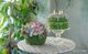 �٥ӡ��ƥ������������ȡإ٥ӥƥ��������ȡ�