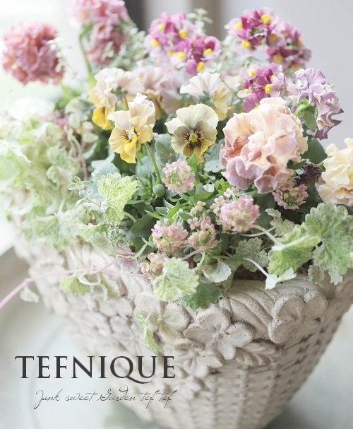 寄せ植え】-TEFNIQUE-寄せ植え 2025 * no.4 * 『大人可愛いクリスマス