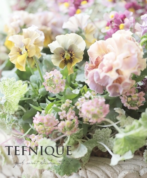 �ڴ󤻿�����-TEFNIQUE-�󤻿��� 2025 * no.4 *������Ͳİ������ꥹ�ޥ������⡼�����ѥ�åȢ���