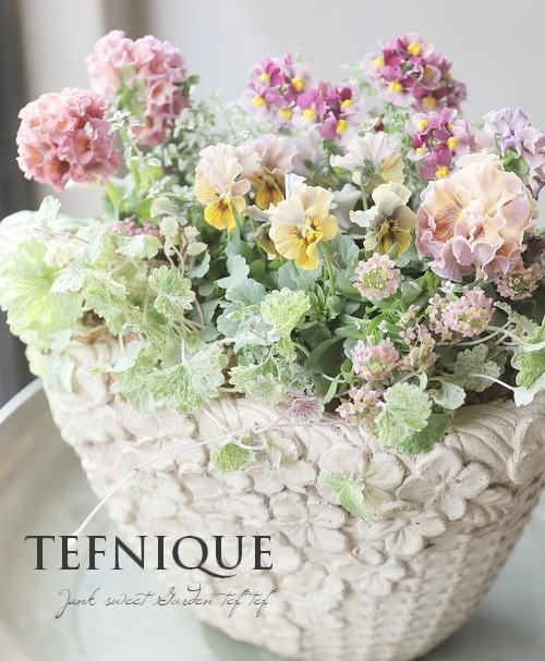 �ڴ󤻿�����-TEFNIQUE-�󤻿��� 2025 * no.4 *������Ͳİ������ꥹ�ޥ������⡼�����ѥ�åȢ���