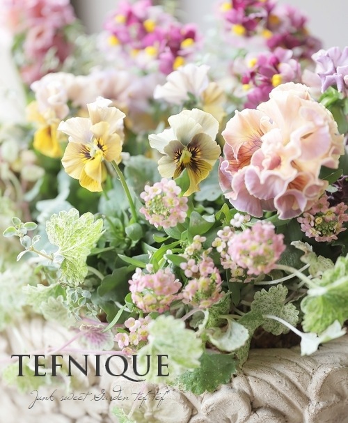 �ڴ󤻿�����-TEFNIQUE-�󤻿��� 2025 * no.4 *������Ͳİ������ꥹ�ޥ������⡼�����ѥ�åȢ���