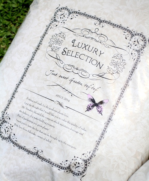 New�إ��ꥸ�ʥ������ڡ١� *tef*tef*���ҥǥ�����20L��1��