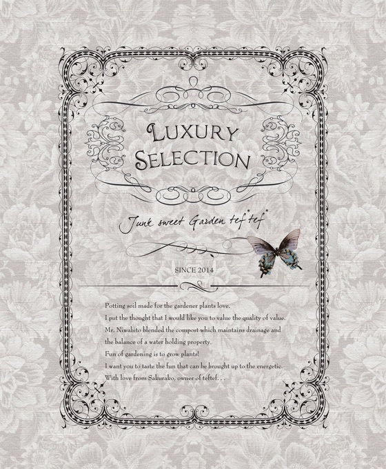 New�إ��ꥸ�ʥ������ڡ١� *tef*tef*���ҥǥ�����20L��1��