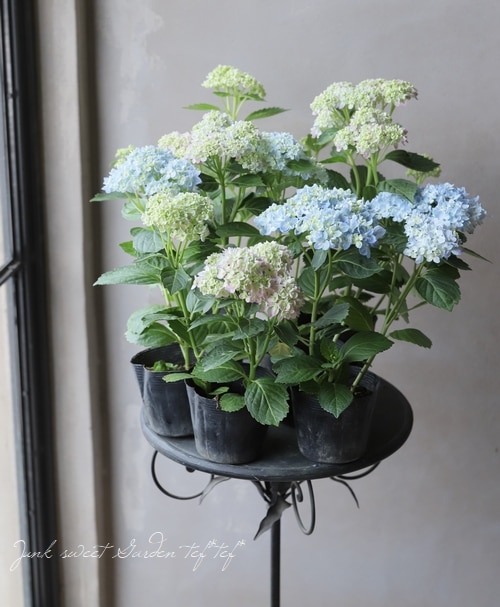 水晶♡蝶々とお花♡台座セット♡♡ 台座 花 金属 – ZH CRYSTAL