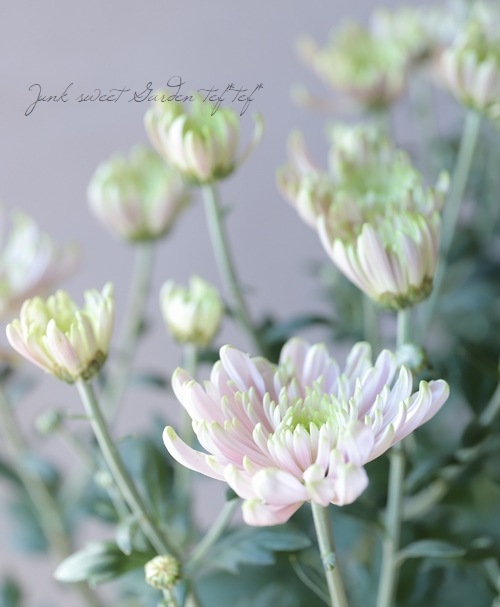 ���إޥ� �إ������Ρ��������åơ�