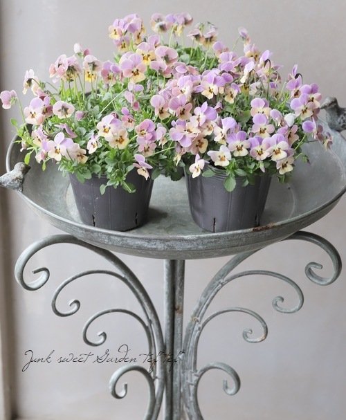 ���ߤ�ȥӥ��顡�ؤ��Ƥ�Х��꡼�� 2022ǯ���ʼ