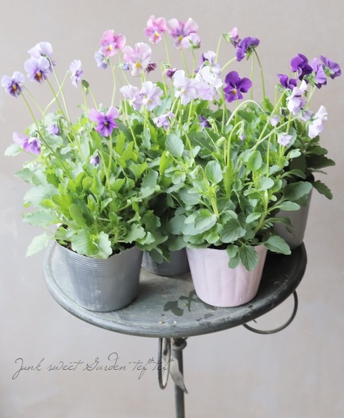 ����¼ζŵ������ӥ��顡�إ֥�������ե�����ɡ�