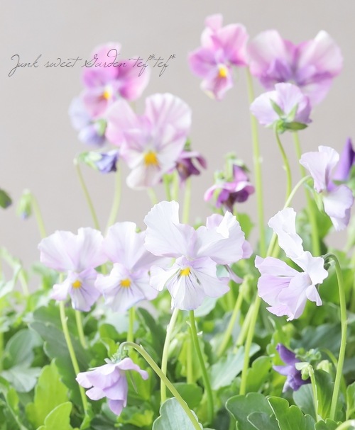 ����¼ζŵ������ӥ��顡�إ֥�������ե�����ɡ�