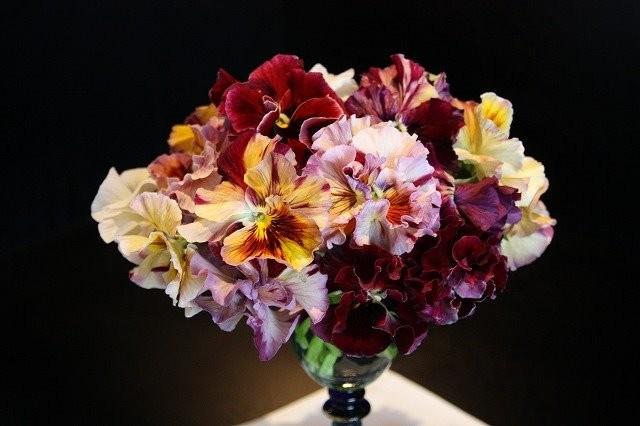 �����٤��롪�ѥ󥸡� ���ࡼ���ե�� �إ����ƥ��롼����١����ǥ��֥�ե�顼