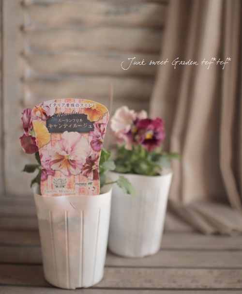 �����٤��롪�ѥ󥸡� ���ࡼ���ե�� �إ����ƥ��롼����١����ǥ��֥�ե�顼