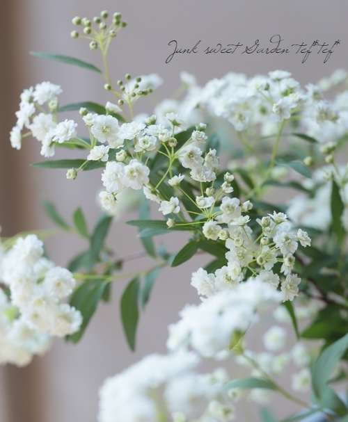 ��Ȭ�ź餭���ǥޥ��