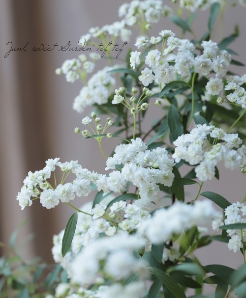 ��Ȭ�ź餭���ǥޥ��