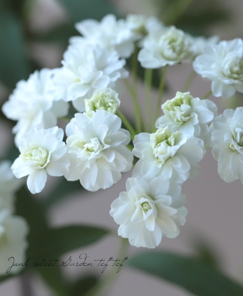 ��Ȭ�ź餭���ǥޥ��