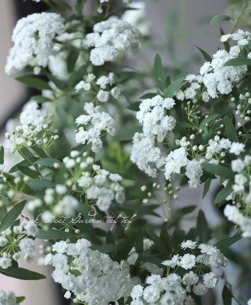 ��Ȭ�ź餭���ǥޥ��