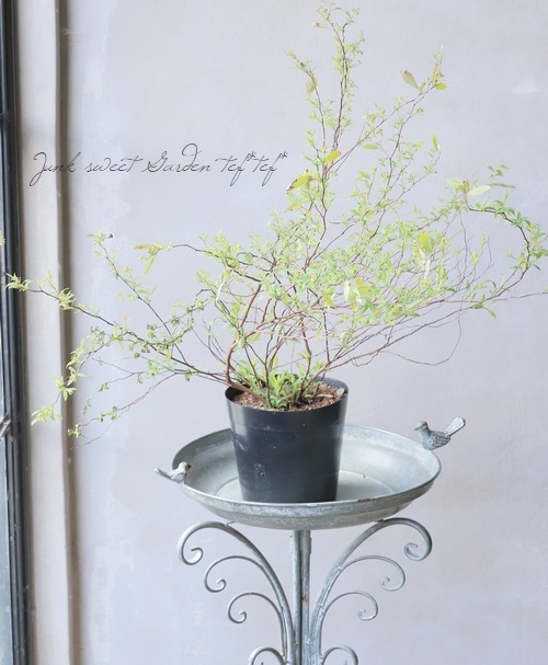 ��Ȭ�ź餭���ǥޥ��