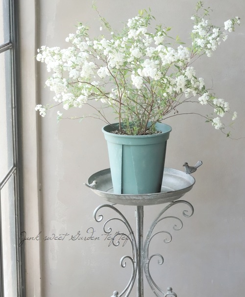 ��Ȭ�ź餭���ǥޥ��