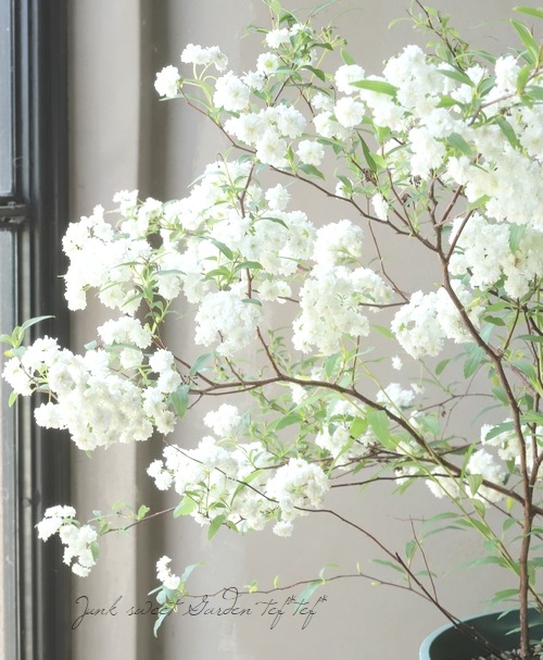 ��Ȭ�ź餭���ǥޥ��