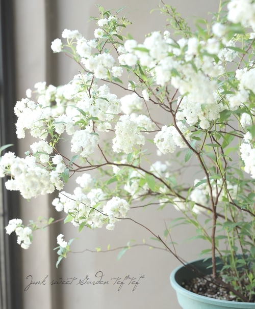 年末特別セール◇自社配送限定◇デコールガーデン イタリア製 大理石