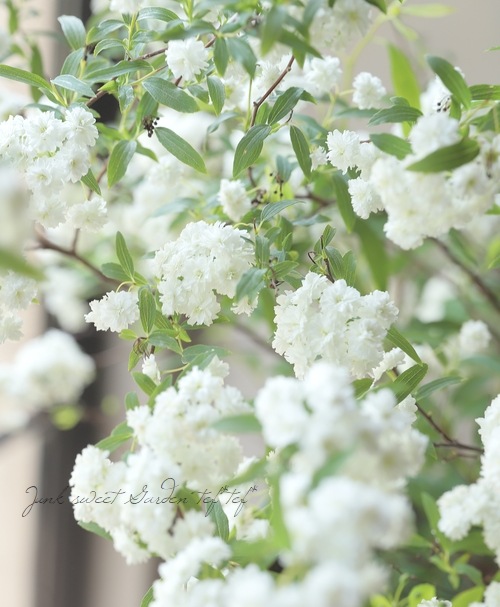 ��Ȭ�ź餭���ǥޥ��