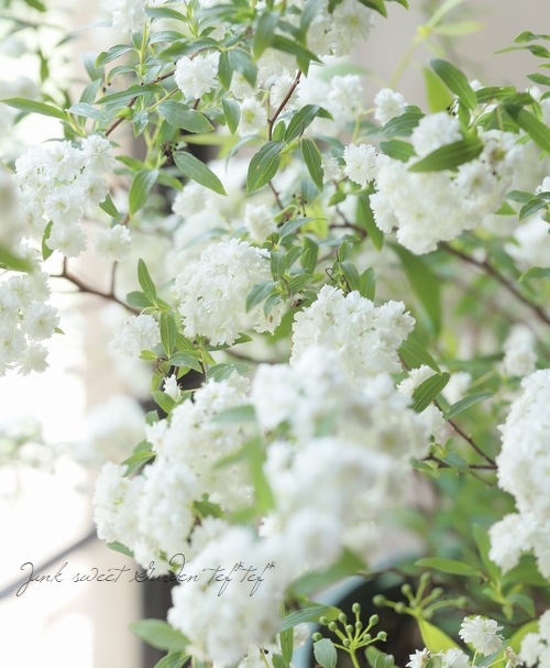 ��Ȭ�ź餭���ǥޥ��