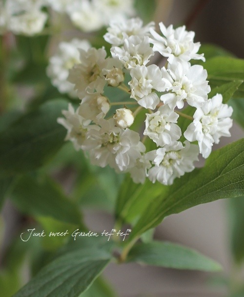 ��Ȭ�ź餭���ǥޥ��