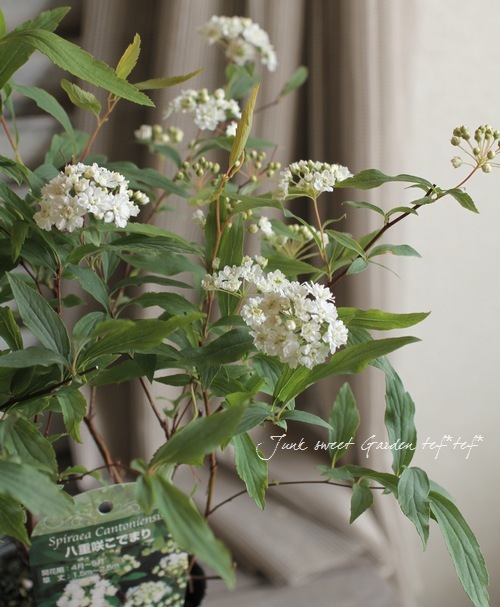 ��Ȭ�ź餭���ǥޥ��