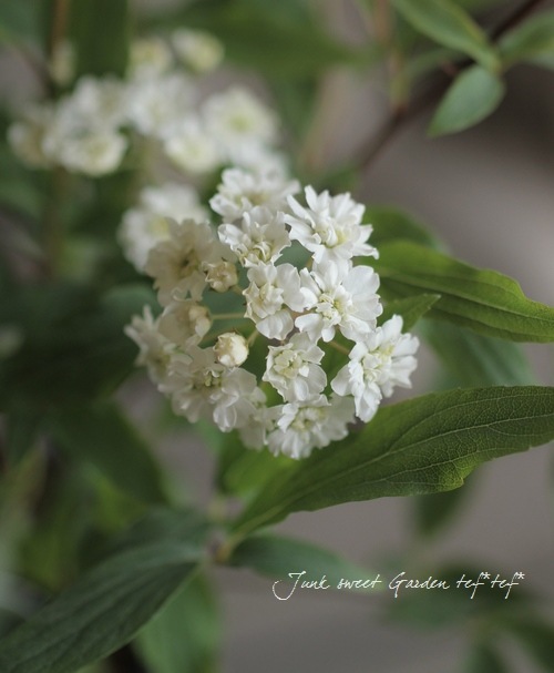 ��Ȭ�ź餭���ǥޥ��