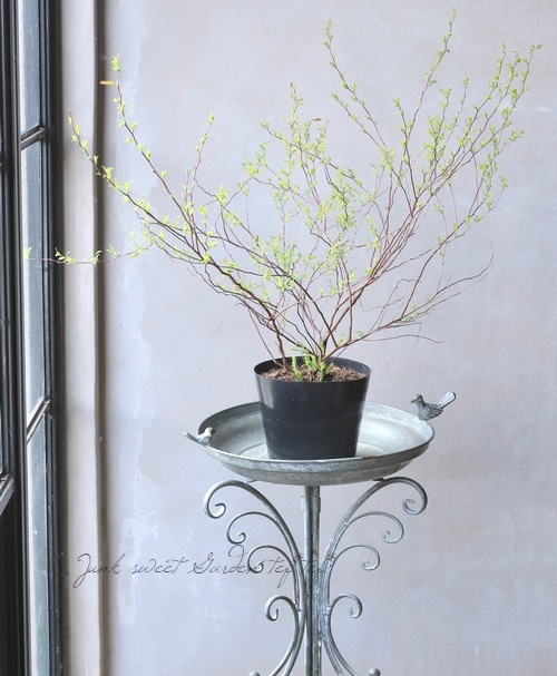 ��Ȭ�ź餭���ǥޥ��