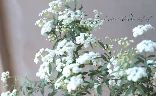 ��Ȭ�ź餭���ǥޥ��